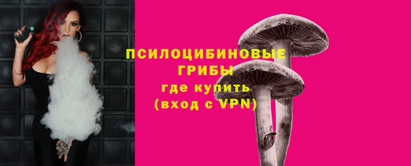 прущая мука Верея