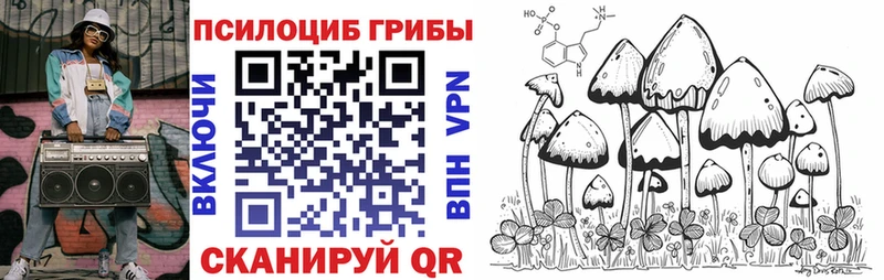 продажа наркотиков  Краснообск  Галлюциногенные грибы Cubensis 